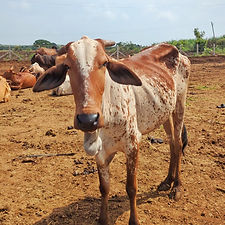 45023646-93dc-49c1-abe0-fd17a820df8e