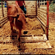 e03c7f77-697a-4c5c-9533-9d36a961a6a6