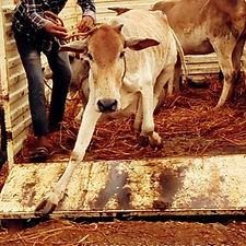 323e8630-e3da-4955-b406-2de4cb6888e3