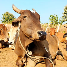 85c22b1e-85c6-4239-88ac-466dd957b1d2