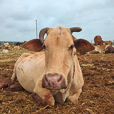 5cc73d64-0b26-484a-aef8-56ebd75f4d55