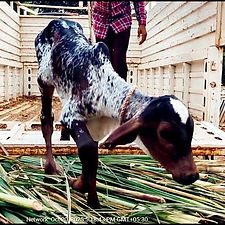 a3f172e0-9395-44d6-8320-602de3a76d2a