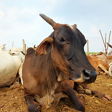 237ae3ef-b482-4698-9e9b-77a32fc16f38