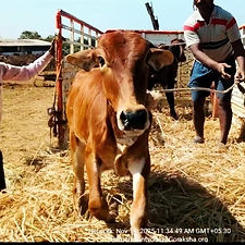 8cc7bd0c-d018-4489-afbe-478d23200e34