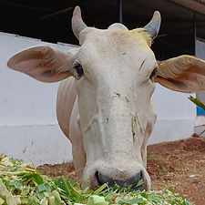 d6ef7f32-a1cf-4633-a230-4b93b887cb0d