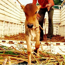 6ee49b24-5103-4e3e-a612-bb728ff71a28