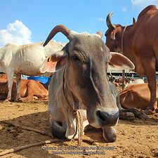 2f84ef64-76fc-42a9-8475-30c2f883795e