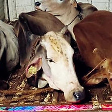 f8d415ee-e8ab-4970-ac9b-47daae9404d3