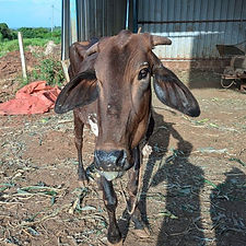 232f30f9-d39f-49e0-bd4e-6eba4dbad246