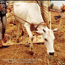 4dfd08e8-25eb-4d3b-8da7-75f1d4f05d43