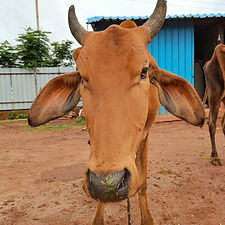 1c9bca33-af32-4aef-a6ed-39185b1d9aee