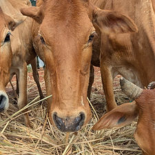 792e0128-2b08-4a3f-b786-e5944a2ab95a