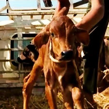 9a9d1626-1d65-42cf-8724-469b4ea80d0b