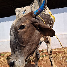 78cfd6a3-2369-46c6-9829-0a870a897686