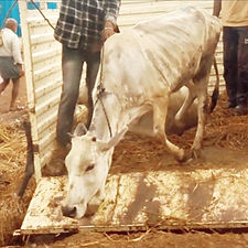 f2c229b2-b575-4013-ba35-beffe82a74ce