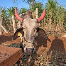 754614d9-19b4-438c-8cda-1a73afcb0b0b