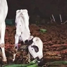 731e1613-3cc8-4fe8-929e-40052e550bb6