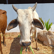 c2c47d6c-1c49-41bd-b9e2-1584049ec318