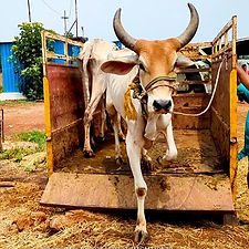 ba57e23b-f3fd-4611-9bd8-6c999775ccac