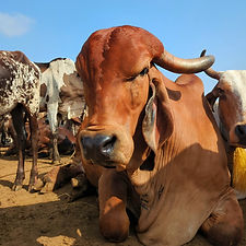 13ec3066-815f-410b-8a16-3769b053e688