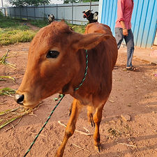 705c82ef-730a-473b-b5c7-a9a43efff15b