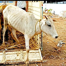 a1f3ca8e-d6ed-4e30-b024-75d0081f50e0