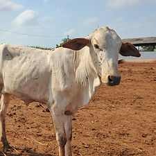 1609b7a3-6d90-4655-b2df-44ee3c09b5d7