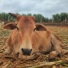 dd8c79da-3b7b-44b7-8a2b-f8f02ac483c1