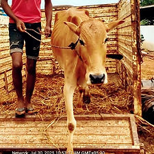 e43c74e5-73fa-4f53-89f0-85f7c3abc20f