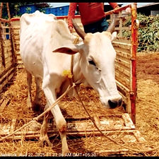 070c560a-cb6c-4bb1-b066-56f235b68e36