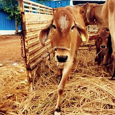 1de60ad5-7878-46a2-9f44-2cc69048fae6