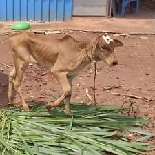 8f9e82e7-1af7-4eac-a17c-c3a12134a4ee