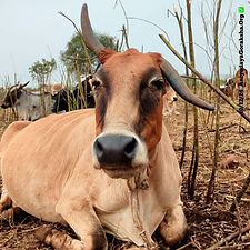 7da65f38-f8e9-400b-ac5a-e423361e72de