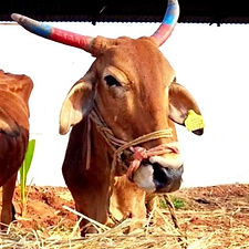 18e35193-f735-4ed6-a5de-b0a7a1f2da28