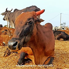 40e144c6-86e0-4852-9022-d803dfe9b3c9