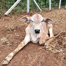 c7e067ec-d469-4cdf-849d-3a853b53831d