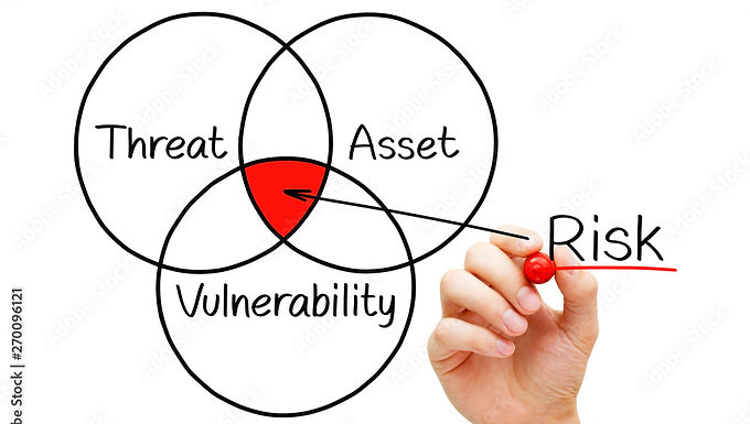 Vulnerability Assessment