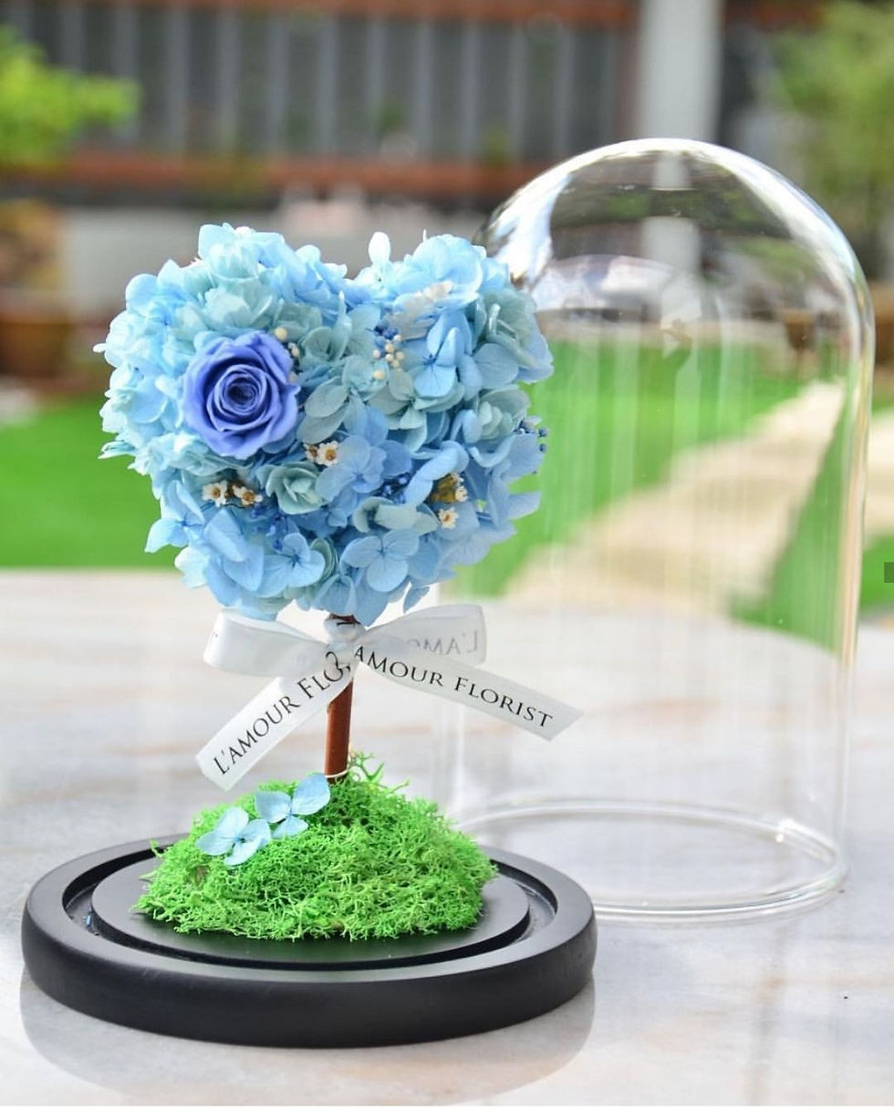 Thumbnail: Wishing Tree