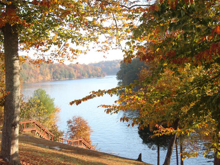 Kentucky kindness. I nominate Kentucky as the kindest State.