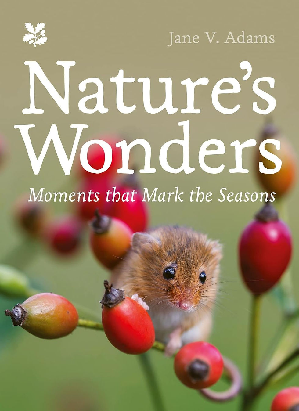 A small mouse on red berries; cover of "Nature's Wonders" by Jane V. Adams. Soft, earthy background. Text in large white font.