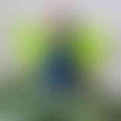 a peg doll dragonfly, with blue body and green wings, perched on a houseplant