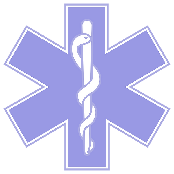 EMS symbol_edited.png