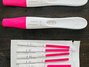 The Day Everything Changed