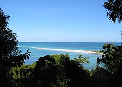 madagascar-81894_1280.jpg
