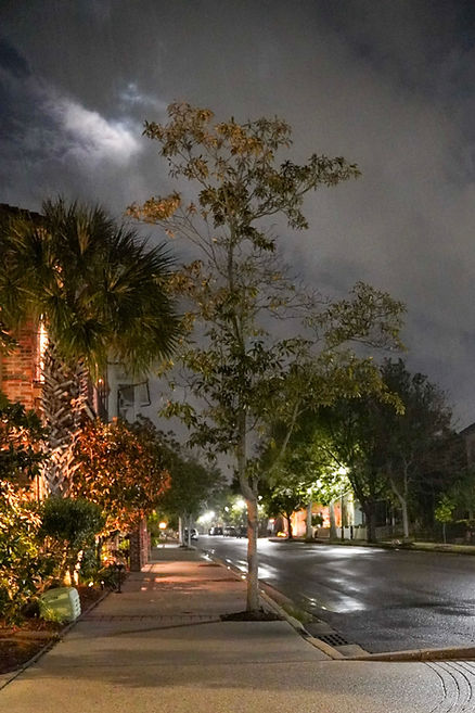 Moonlight over city street after rain