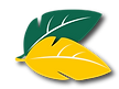 feuilles_1.png