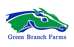 Wingfingers-Logo VF-WHITE [Recovered].ai (5).png