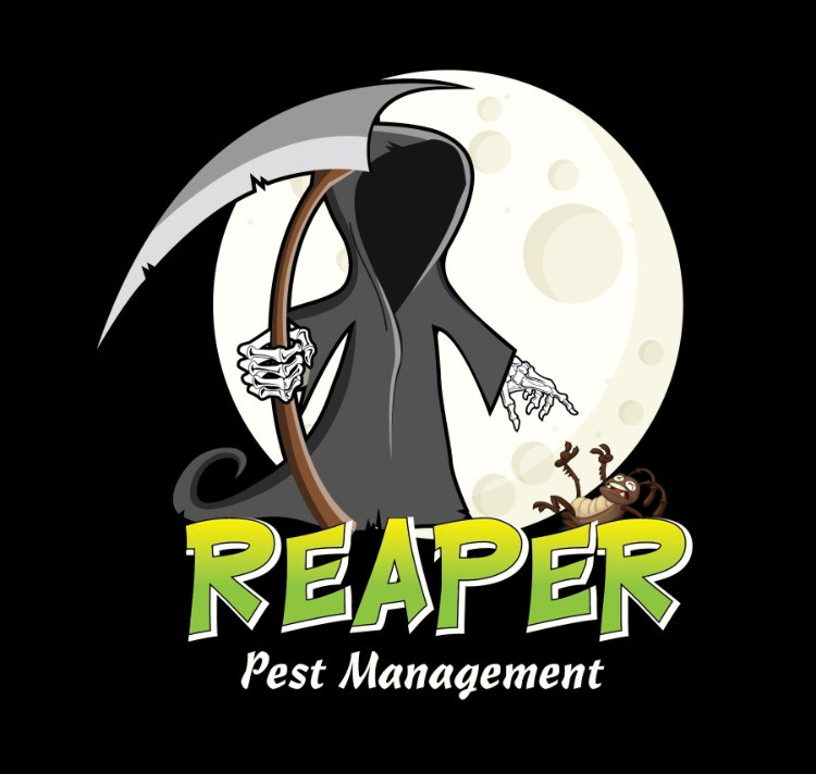 Pest Control Reaper Pest Management Brisbane to Sunshine Coast