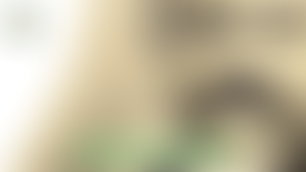 Personalidades Espíritas: Léon Denis