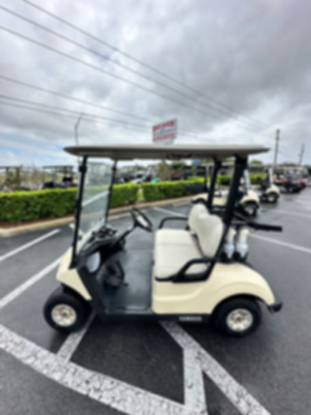 2019 Yamaha Electric Tan